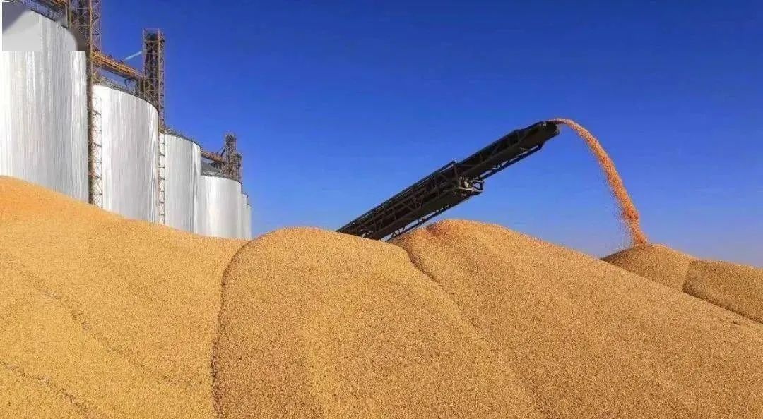 豆粕供应将再度走高 预计二季度易跌难涨